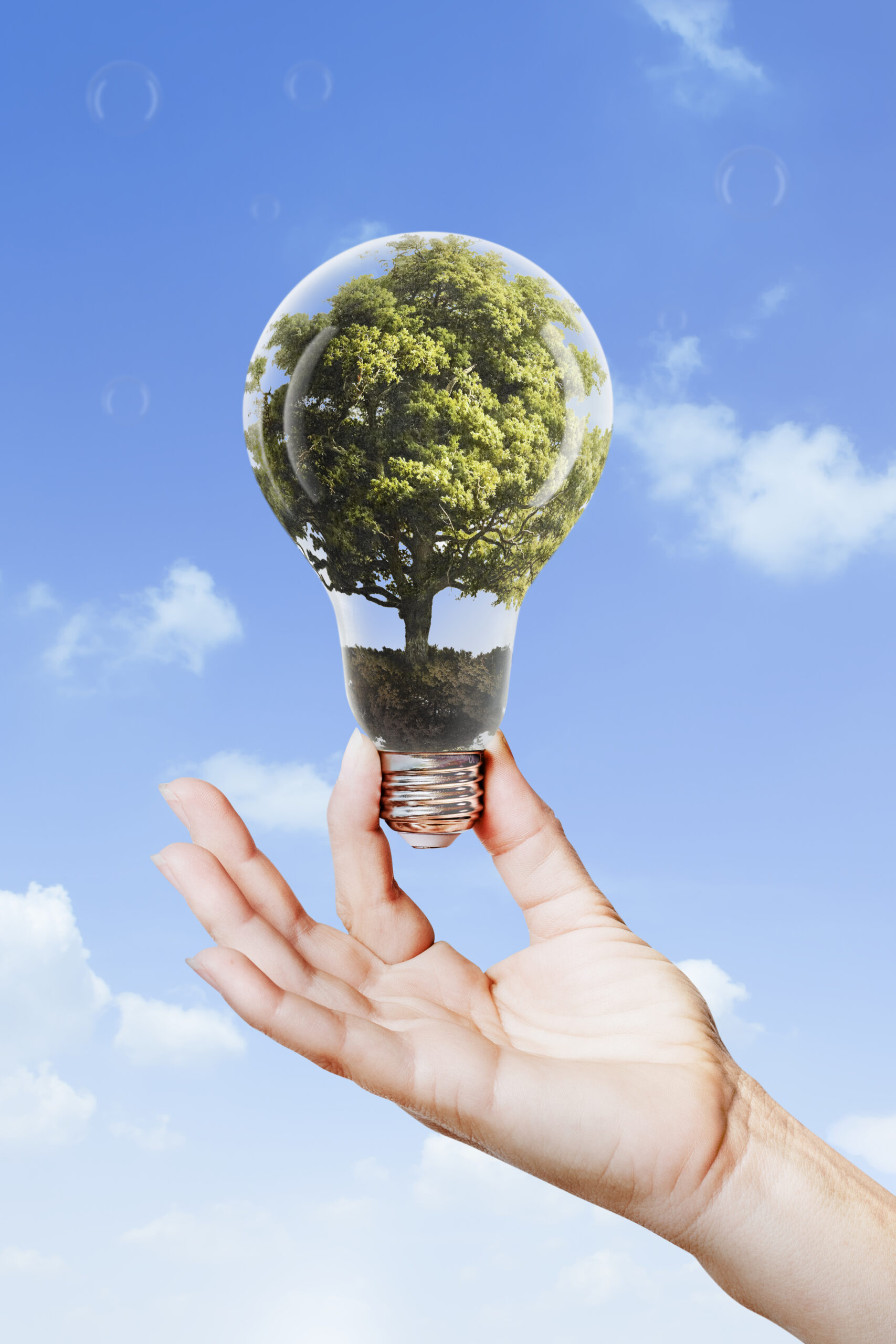 Sustainable energy campaign hand holding tree light bulb media remix